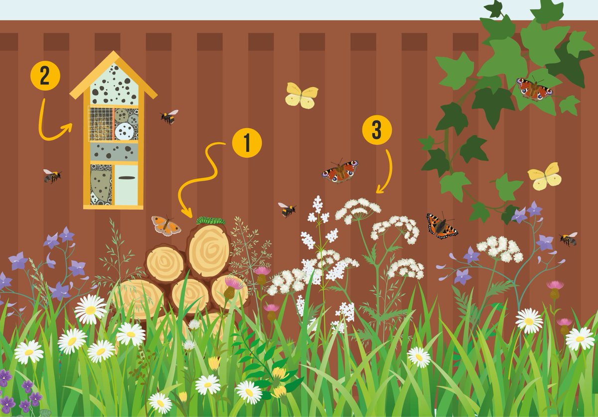 Is your new year's resolution to create a wildlife-friendly garden? Add these three features to help pollinators in Essex thrive:

1. Habitat pile 🪵
2. Bug hotel 🏠
3. Pollinator-friendly plants 🪻

For more information and 'how-to' guides, visit essexwt.org.uk/help-pollinato…