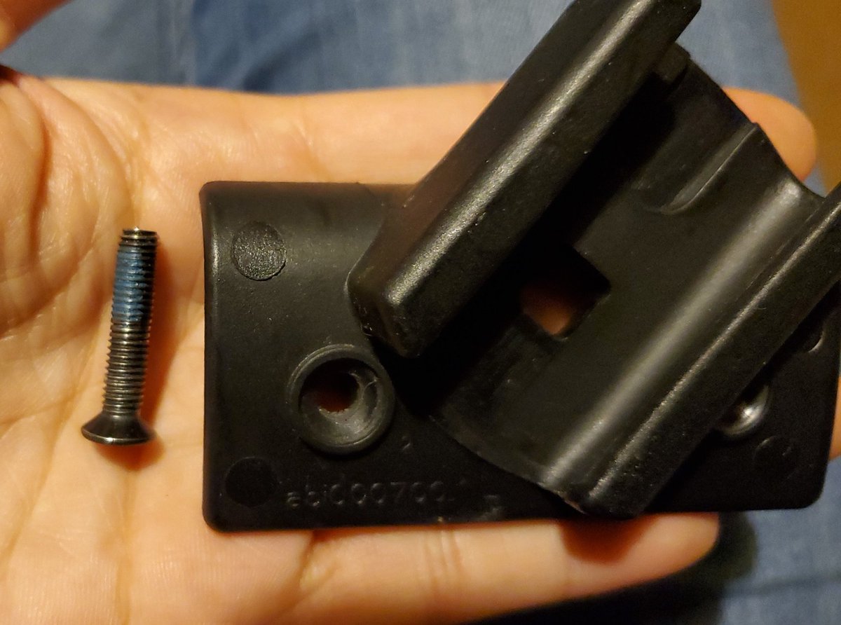 Diana B. tweet media