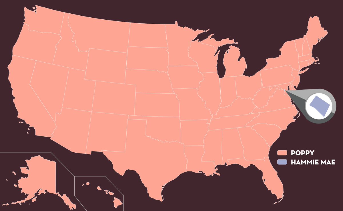 metrorhmdzoo's tweet image. Poppy carried all 50 states. Hammie Mae carried D.C. We haven’t seen a map like this since 1984. 🇺🇸❤️🤍💙
#metrorichmondzoo #rva #hippo #poppyhippo #poppypygmy #poppy