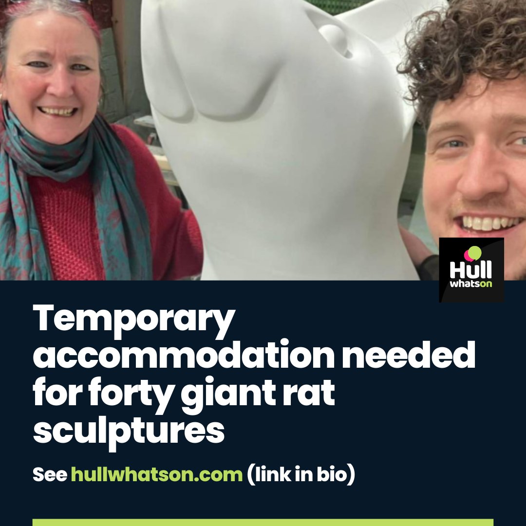 Maybe you're the hero who can help find a home for forty giant rats until May 2025 🏠

See website or 👉 hullwhatson.com/temporary-work…

#hull #hullnews #sculptures