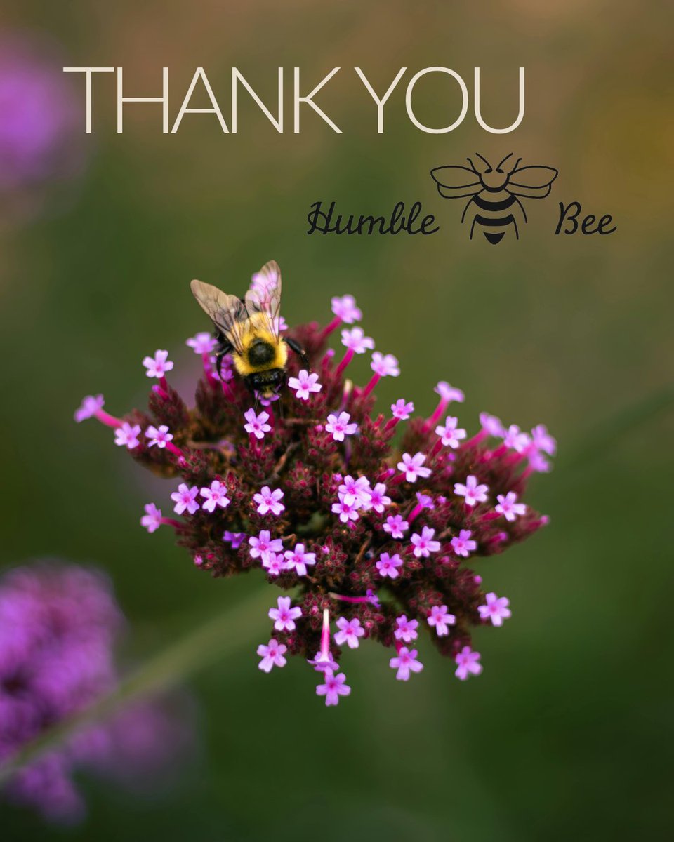 Thank you Humble Bee for raising $1,039 at your Bee Ball in support of our Bumble Bee Recovery Program💛 ⁠
⁠
We also want to send a heartfelt thank you to the entire community for showing up, and supporting our work.
⁠
#WPCbumblebees #wildlife #conservation #bees #ThankYou
