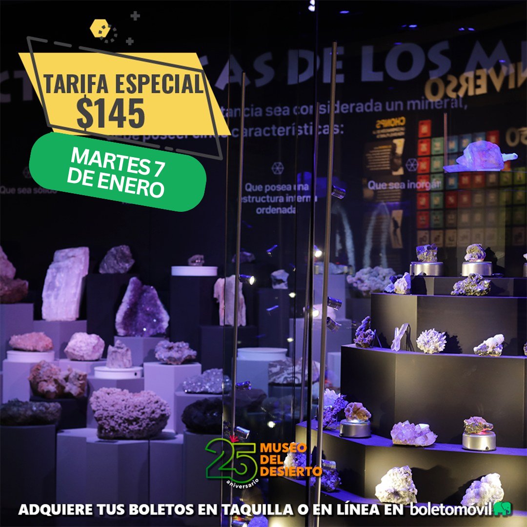 Museo del Desierto 🦖 tweet media