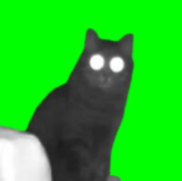 The cat is green 💚     

The chart is green 📷  

My background is green 📷   

My timeline is green 📷 📷 

Coincidence?    No.    

Manifest green with green

#OIIA #OIIAOIIA $CAT