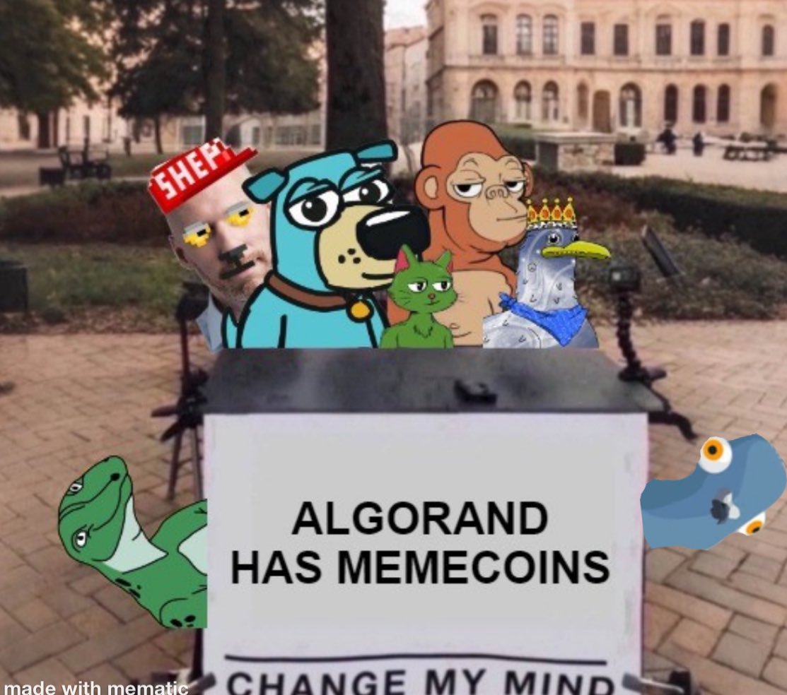 Algorand has Memecoins

rug.ninja 

#algofam #cardano #pumpfun #memecoin #snek #sol #btc #monko #dugly $BERB
