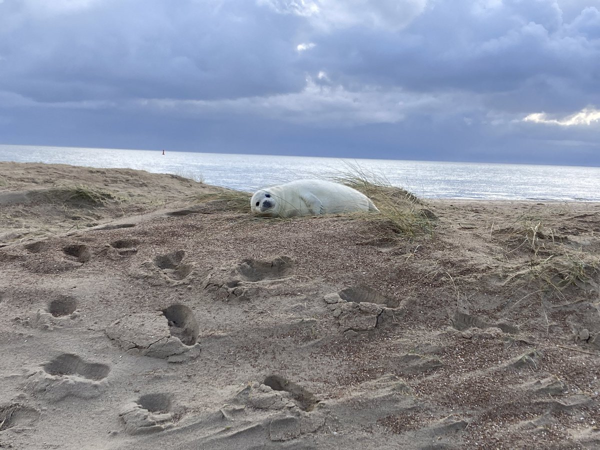 Gijsbert_89's tweet photo. Het was weer mooi op Vlieland! #ervaarvlieland https://t.co/AOoIxCCs7c