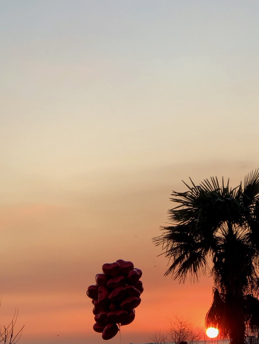 ………”ortalık toz duman ,ortalık fel-feci hayal ;arkadan bir ses ‘hayali yıkmış ,hayal’e çaresizlikten çığlık atan şahıs ,cesurluk sergiliyor,’umutsuzluğa” ……..!!!!!!!!
                     “.                       .”