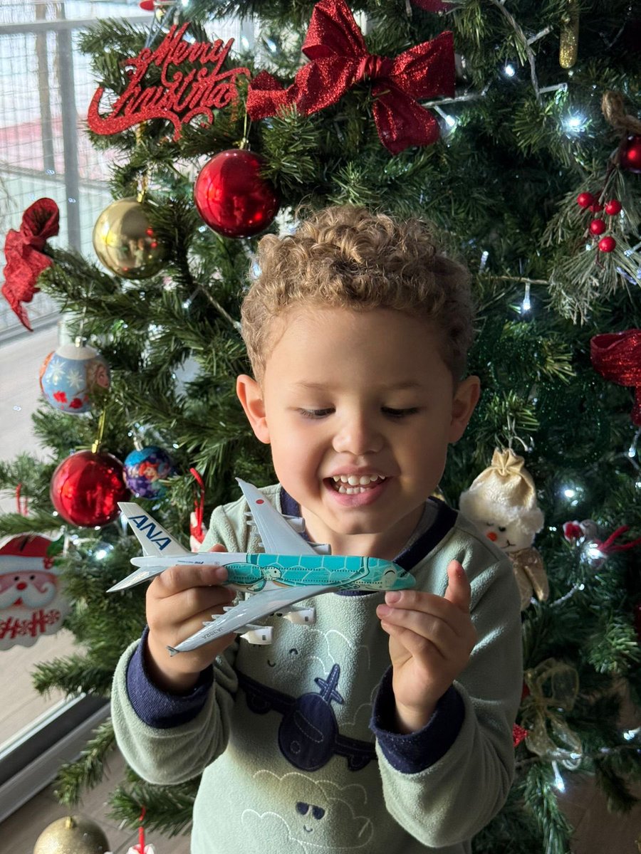 luis93436's tweet photo. @FlyANA_official Ian  asked santa for blue HONU https://t.co/3SxziDaxcq