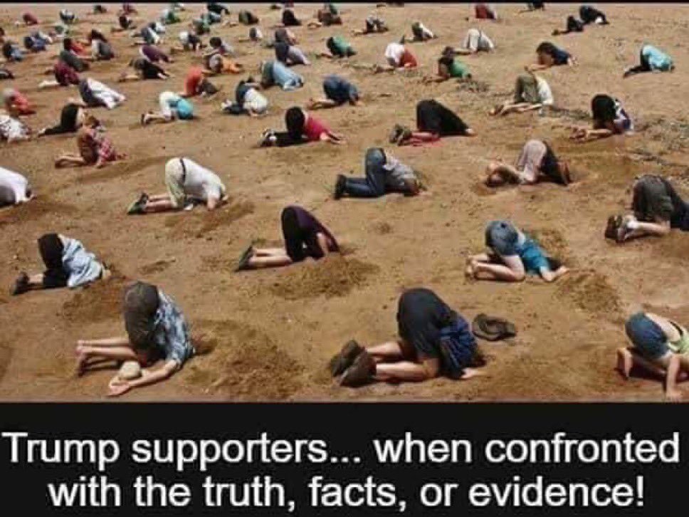 JLake 💙💙💙✌🎸🌈 tweet media