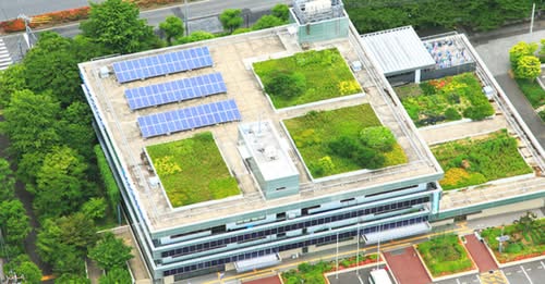RutgersOCPE's tweet photo. Learn how to reduce flooding and provide aesthetic and societal benefits with the Rutgers Green Stormwater Management Online Course. Class begins May 15. Register today.
https://t.co/OITKIeY48C https://t.co/L0rohWXZkW
