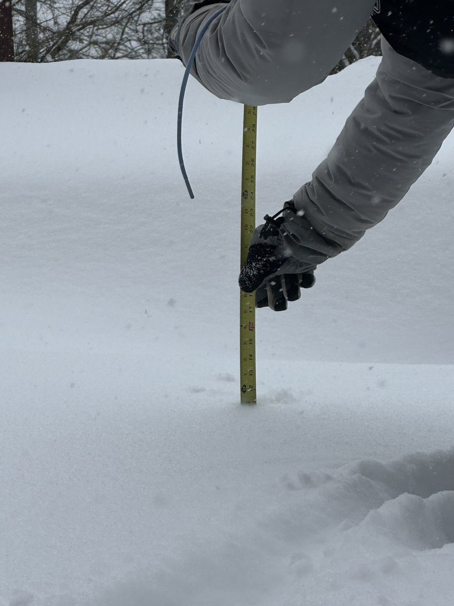 Suzanne Schutte tweet media