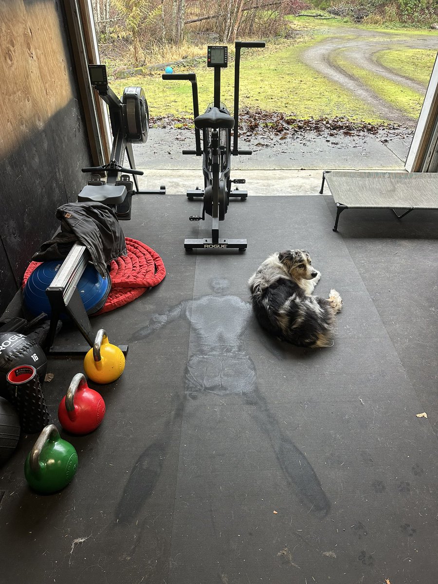 RyanHaake's tweet photo. The aftermath. Get some! 💪🏽 https://t.co/hGookdYhX6