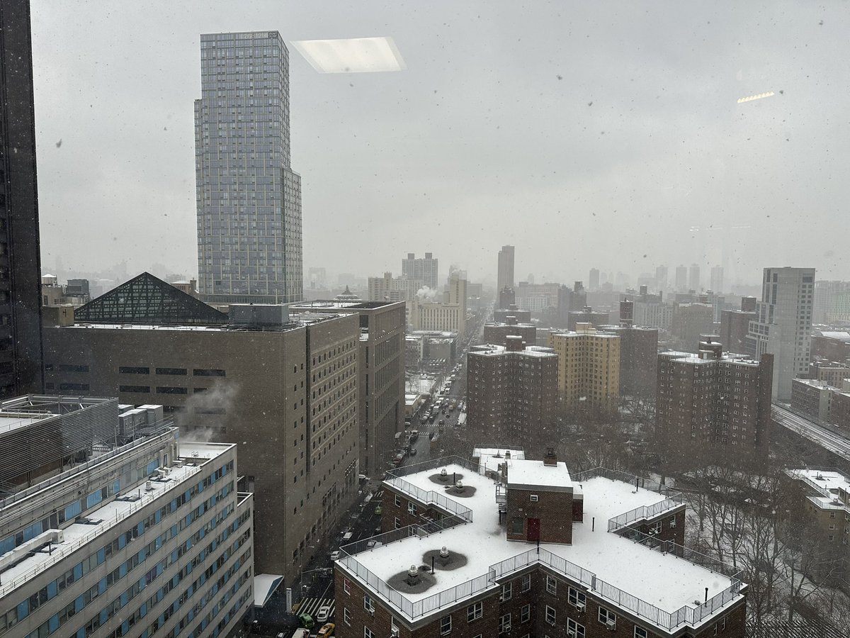 Happy new year to all! First snow in NYC in 2025!