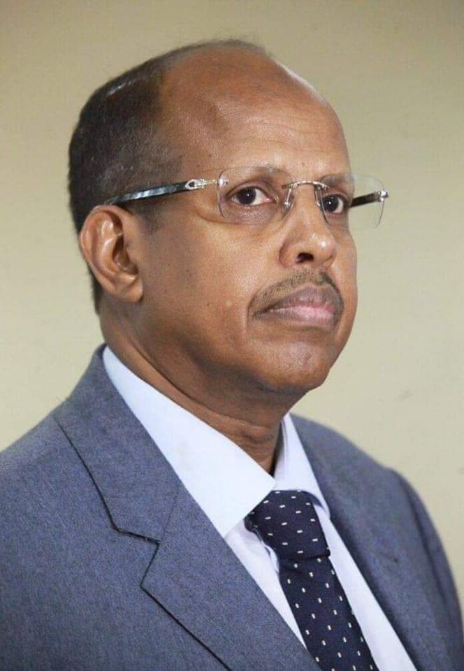 itskipronoh's tweet image. I would like to remind the entire African continent that Kenya's candidate for Chairperson of the African Union Commission is Mahamoud Ali Youssouf from Djibouti. Vote Wisely!

We are Africans and Africa is our business.