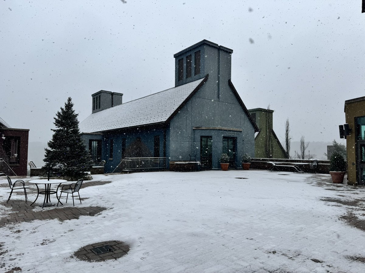 shivanithepooh's tweet image. 