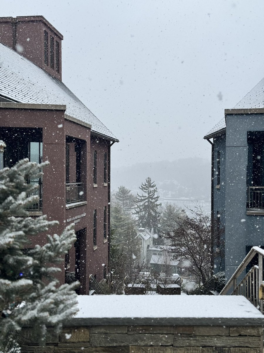 shivanithepooh's tweet image. 