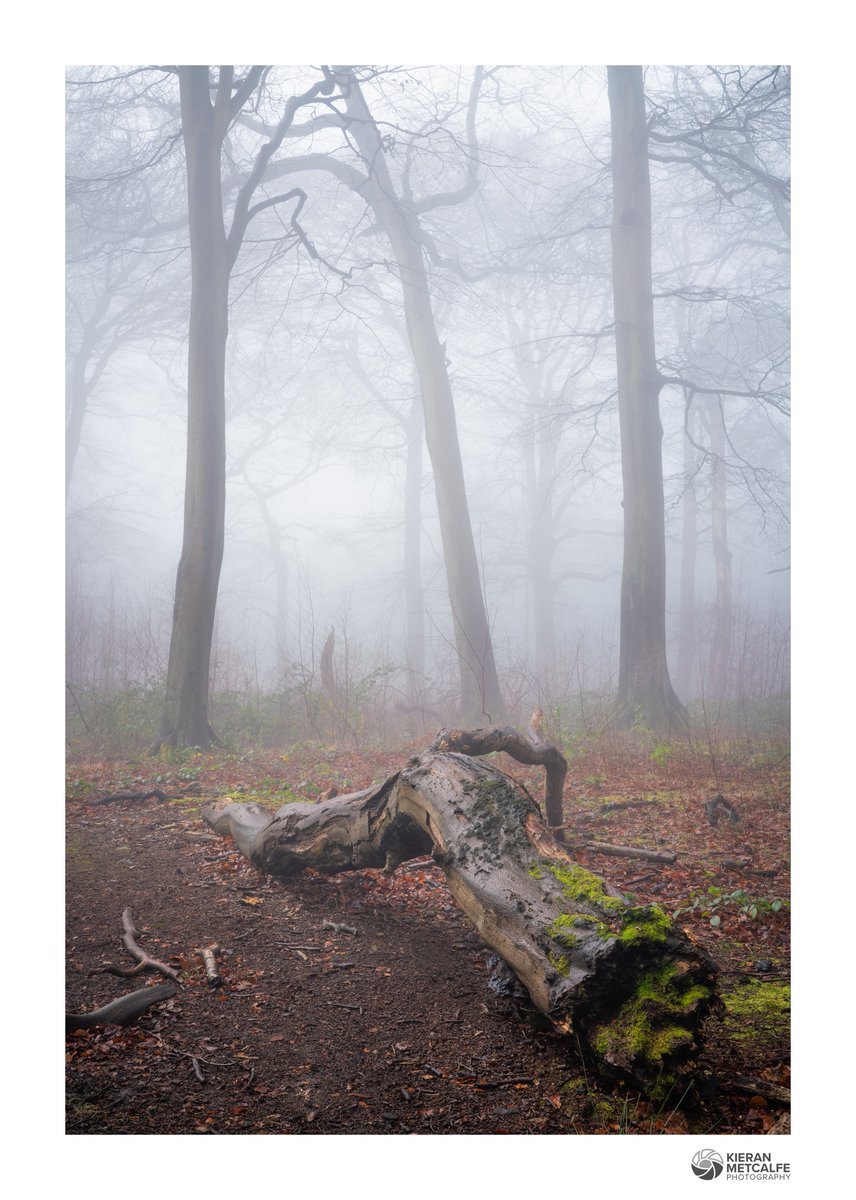 Kieran Metcalfe 💙 tweet media