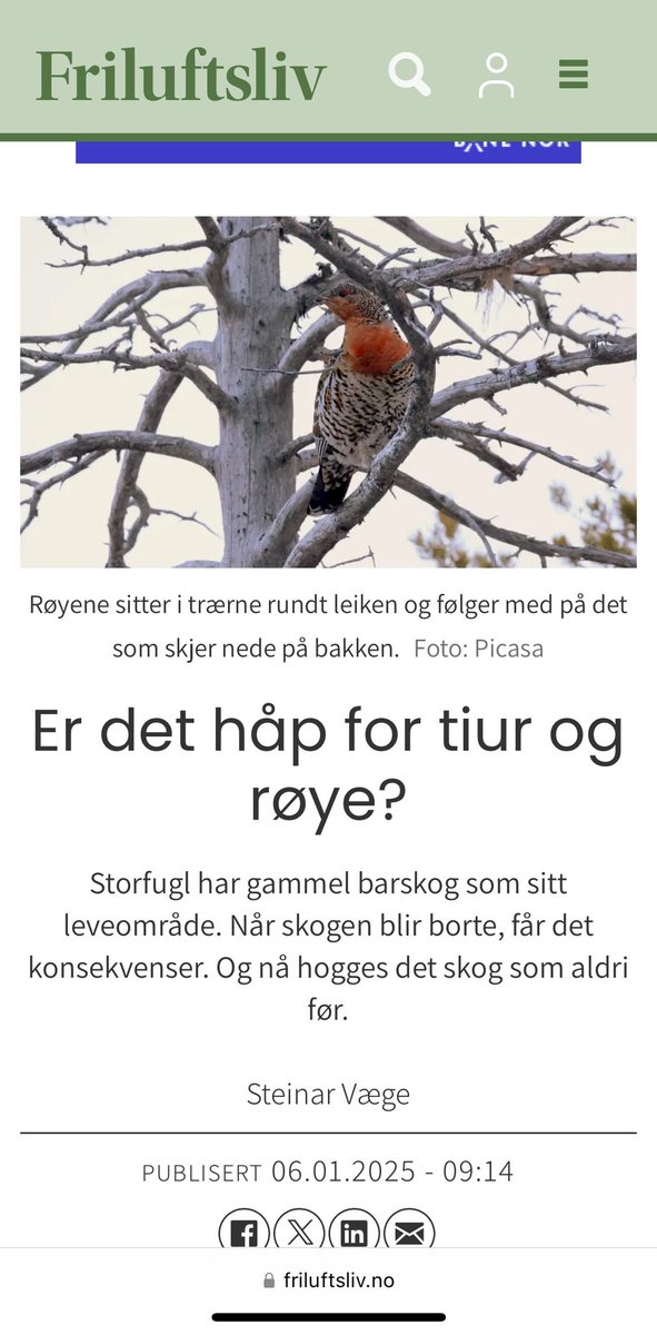 Er røye en gammelskog-art?

Og hva får man om man parer en tiur med ei røye?