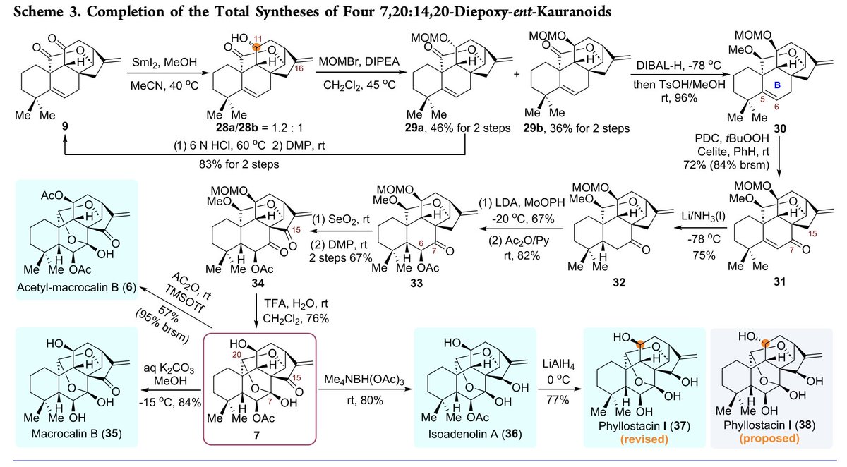 Total Synthesis (@totalsynthesis) on Twitter photo #TotalSyntheses of Diepoxy-ent-Kaurane Diterpenoids Enabled by a Bridgehead-Enone-Initiated Intramolecular Cycloaddition by Yin Li, Qilin Xue, Xiangbo Zhao, and Dawei Ma at Shanghai Institute of Organic Chemistry in <a href="/J_A_C_S/">J. Am. Chem. Soc.</a> pubs.acs.org/doi/10.1021/ja… #TotalSyntheses of Diepoxy-ent-Kaurane Diterpenoids Enabled by a Bridgehead-Enone-Initiated Intramolecular Cycloaddition by Yin Li, Qilin Xue, Xiangbo Zhao, and Dawei Ma at Shanghai Institute of Organic Chemistry in <a href="/J_A_C_S/">J. Am. Chem. Soc.</a> pubs.acs.org/doi/10.1021/ja…