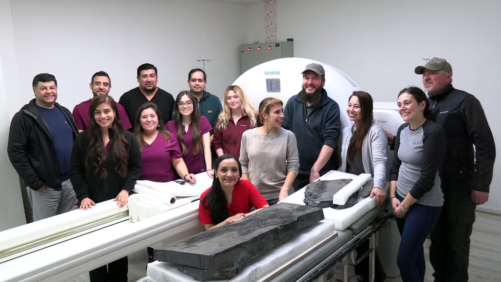 Inédita colaboración científica permitió realizar estudios de alta precisión al fósil más importante de Magallanes. Un hito en la paleontología chilena que refuerza la preservación de este fósil único en el mundo. Todos los detalles aquí: tinyurl.com/t22rkxas