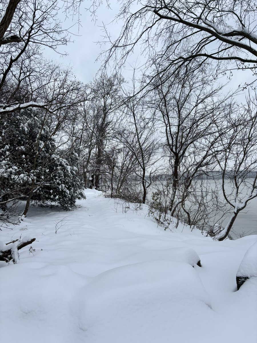 Kristine Hackman tweet media