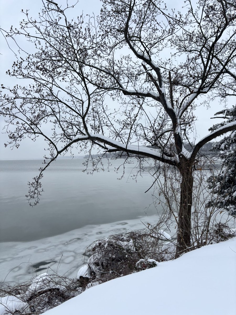 Kristine Hackman tweet media