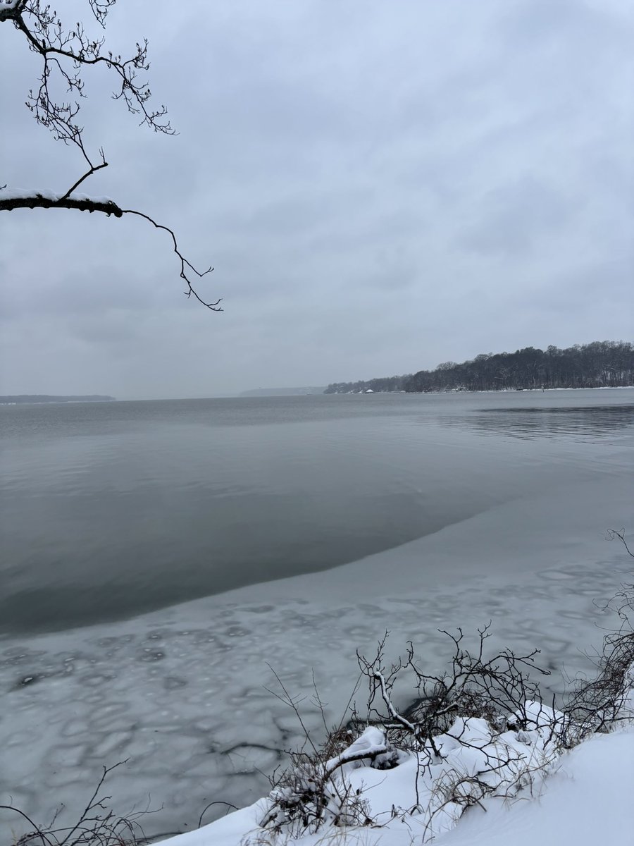 Kristine Hackman tweet media