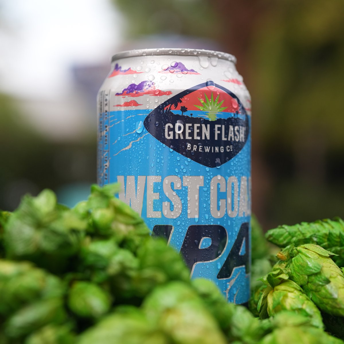 Hoppy Monday! 🍻 A West Coast IPA is on the horizon for your happy hour libations. #greenflashbeer