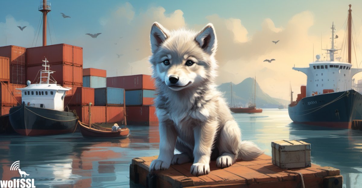 wolfSSL's tweet image. 🛡️ We&apos;ve ported #SSSD to use wolfSSL! Lightweight, portable &amp;amp; secure! Make connecting to #LDAP, #Kerberos &amp;amp; #FreeIPA more efficient than ever. Benefit from #TLS 1.3, #DTLS 1.3 &amp;amp; #FIPS 140-3, which is perfect for modern #authentication services. #API