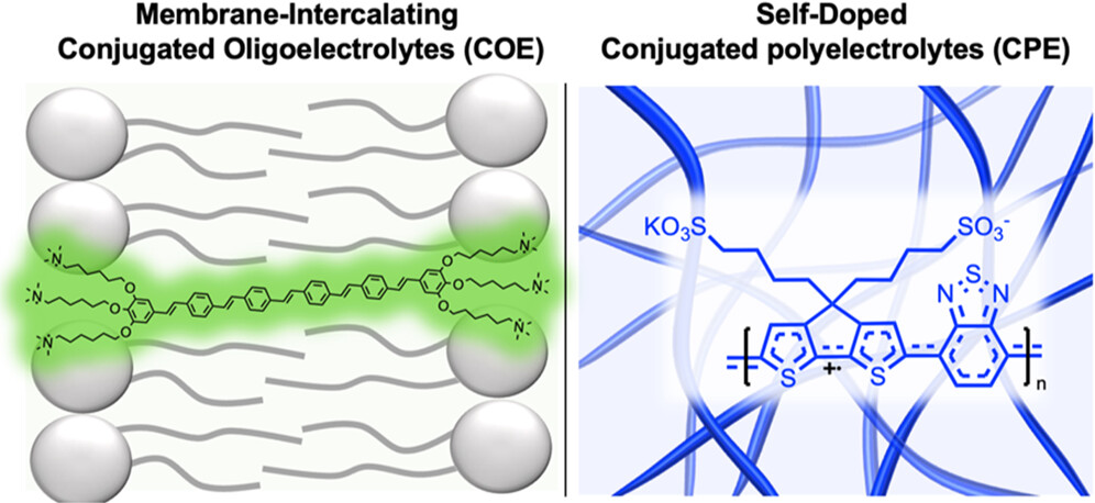 JACS Au (@jacs_au) on Twitter photo Discover in this Perspective why conjugated oligoelectrolytes (COEs) and conjugated polyelectrolytes (CPEs) are leading materials for bioanalytical and electrochemical applications. <a href="/TripletStateGuy/">Ricardo Javier Vázquez</a>
Check it out here 👉 go.acs.org/c7D Discover in this Perspective why conjugated oligoelectrolytes (COEs) and conjugated polyelectrolytes (CPEs) are leading materials for bioanalytical and electrochemical applications. <a href="/TripletStateGuy/">Ricardo Javier Vázquez</a>
Check it out here 👉 go.acs.org/c7D