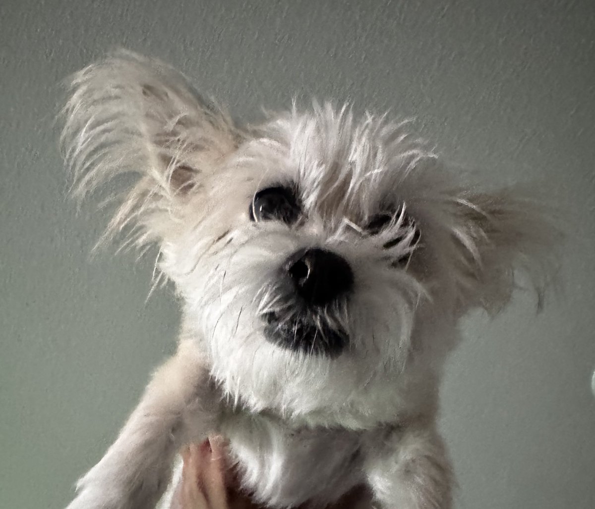 beatz, BA MA PHD. Women Lover tweet media