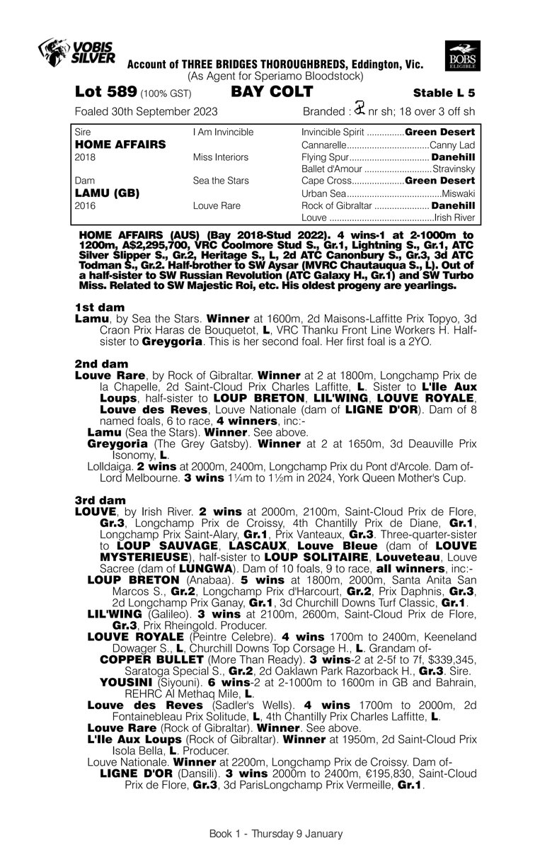 Wildenstein Breeding - FanPage (@bleuballymore) on Twitter photo 🇦🇺 Gold Coast Yearling Sale <a href="/mmsnippets/">Magic Millions</a>
Lot 5️⃣8️⃣9️⃣ : Colt by <a href="/CoolmoreAus/">Coolmore Australia</a> HOME AFFAIRS from LAMU consigned by <a href="/ThreeBridges1/">Three Bridges</a> for <a href="/SperiamoHorse/">Speriamo Bloodstock</a>
➡️ LAMU, Listed placed by SEA THE STARS
➡️ 2nd dam, LOUVE RARE, Listed placed & sister of dual G2 winner, G1 placed LOUP BRETON 🇦🇺 Gold Coast Yearling Sale <a href="/mmsnippets/">Magic Millions</a>
Lot 5️⃣8️⃣9️⃣ : Colt by <a href="/CoolmoreAus/">Coolmore Australia</a> HOME AFFAIRS from LAMU consigned by <a href="/ThreeBridges1/">Three Bridges</a> for <a href="/SperiamoHorse/">Speriamo Bloodstock</a>
➡️ LAMU, Listed placed by SEA THE STARS
➡️ 2nd dam, LOUVE RARE, Listed placed & sister of dual G2 winner, G1 placed LOUP BRETON