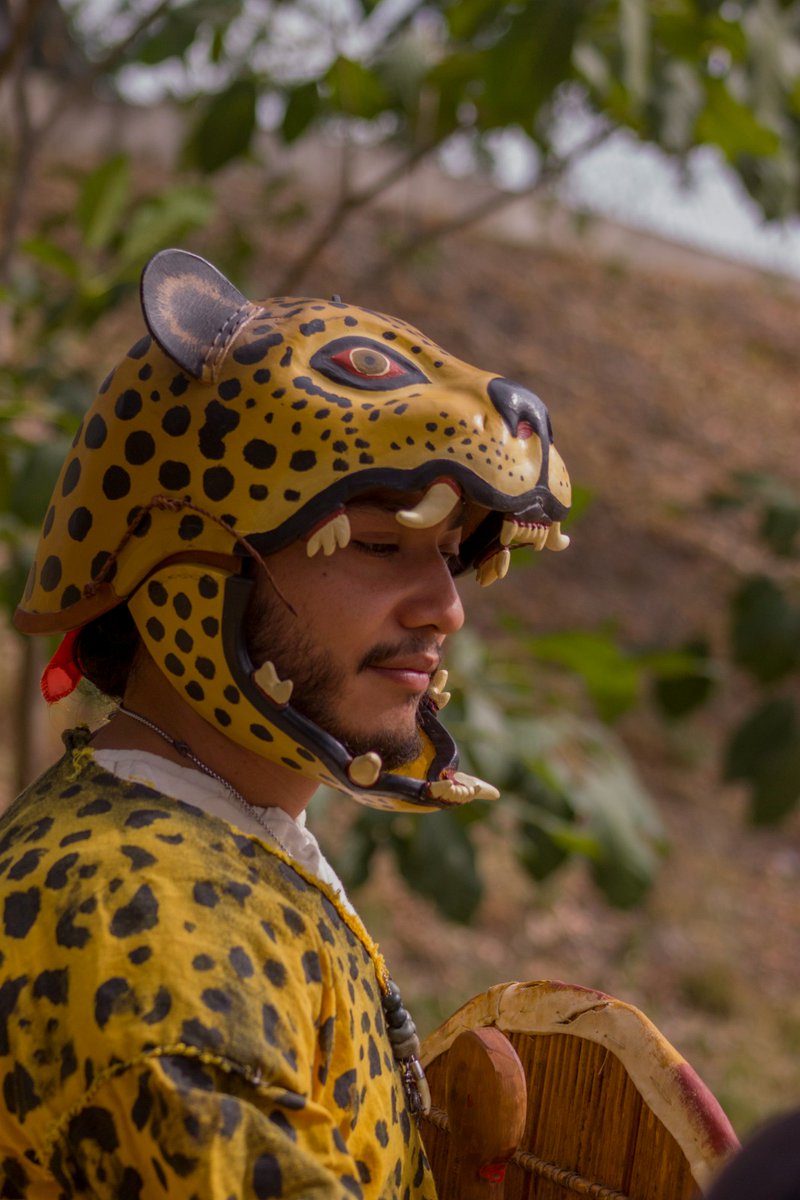 TlacuiloCouixca's tweet photo. Una propuesta interpretativa de los atavíos de un ocelopilli o guerrero jaguar. El "casco" está hecho con piel, siguiendo las técnicas artesanales que se emplean para la fabricación de las máscaras de #tecuan utilizadas en rituales petitorios de lluvia.

#aztec #reenactment https://t.co/OC72W1D0xT