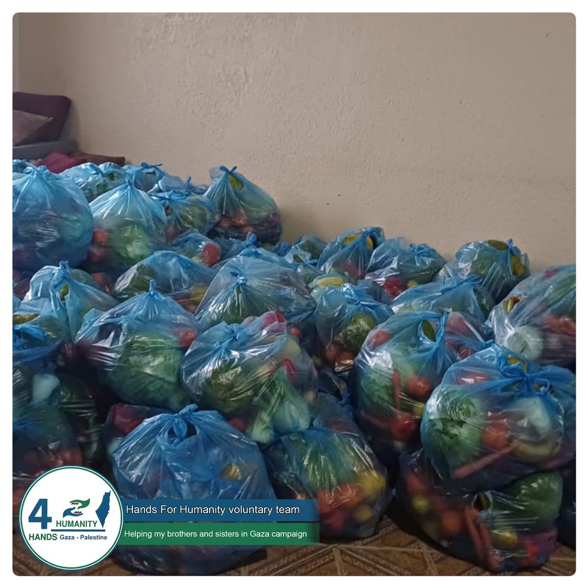 NOOR_AHM75's tweet photo. Despite the vegetable shortage and high prices in Gaza, we continued distributing to displaced families. Their joy was indescribable, as many hadn't had vegetables in a long time. Thank you for your support.
https://t.co/kCkYLsHvER
#SupportForDisplaced #Giving https://t.co/eSfGa3BB8y