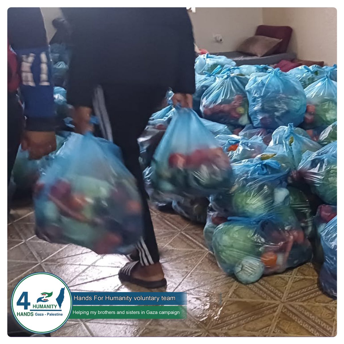 NOOR_AHM75's tweet photo. Despite the vegetable shortage and high prices in Gaza, we continued distributing to displaced families. Their joy was indescribable, as many hadn't had vegetables in a long time. Thank you for your support.
https://t.co/kCkYLsHvER
#SupportForDisplaced #Giving https://t.co/eSfGa3BB8y