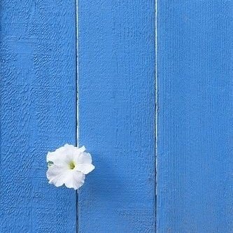 amel444's tweet photo. #NewProfilePic https://t.co/mwPpN1iECs
