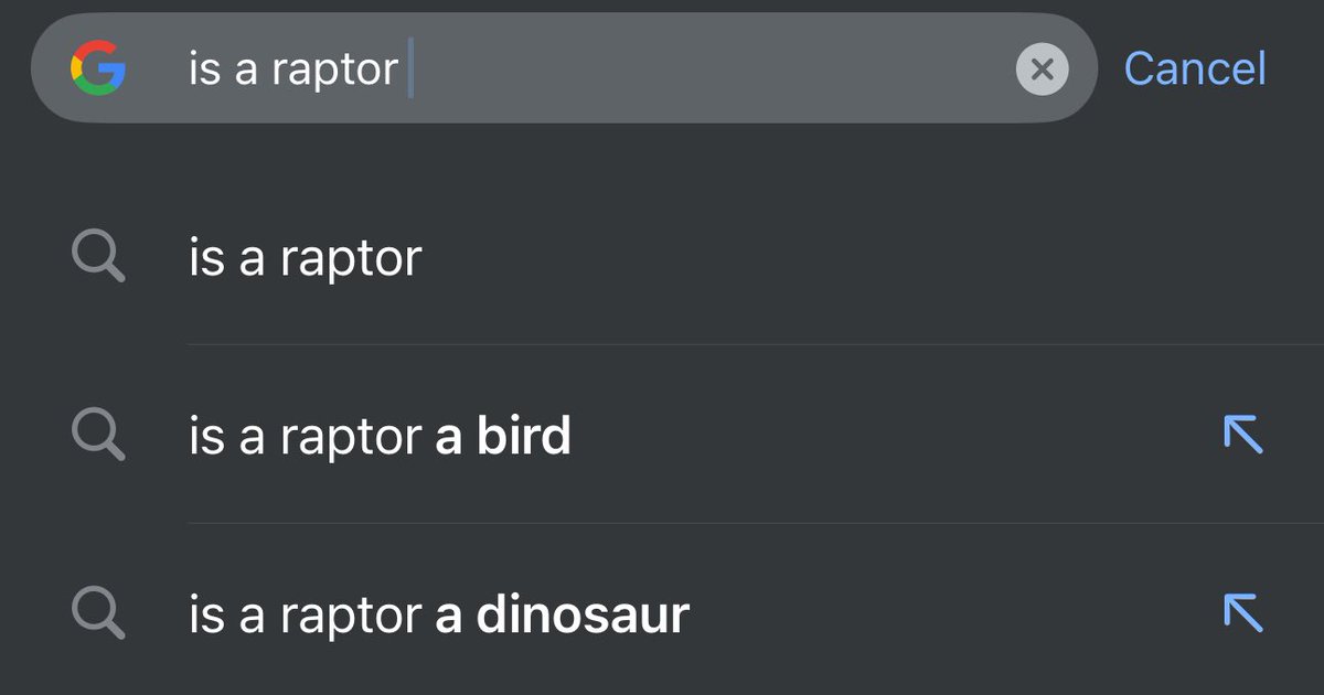 🗞️ THE CRASH REPORT 🗞️ tweet media