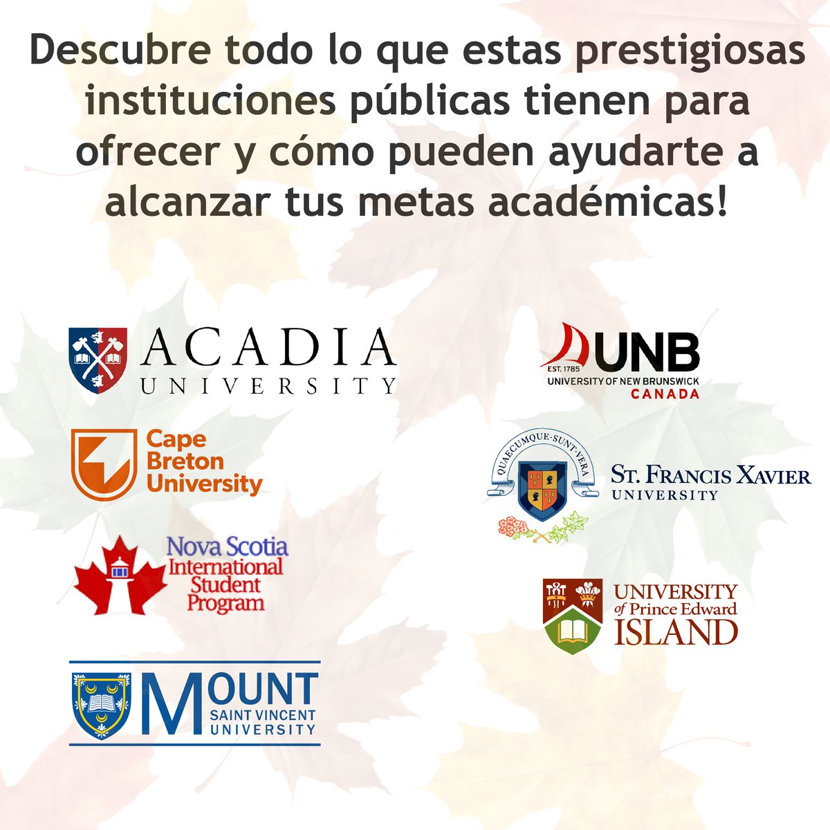 UNB_Stephanie tweet media