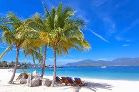 Lisajalvarado tweet media