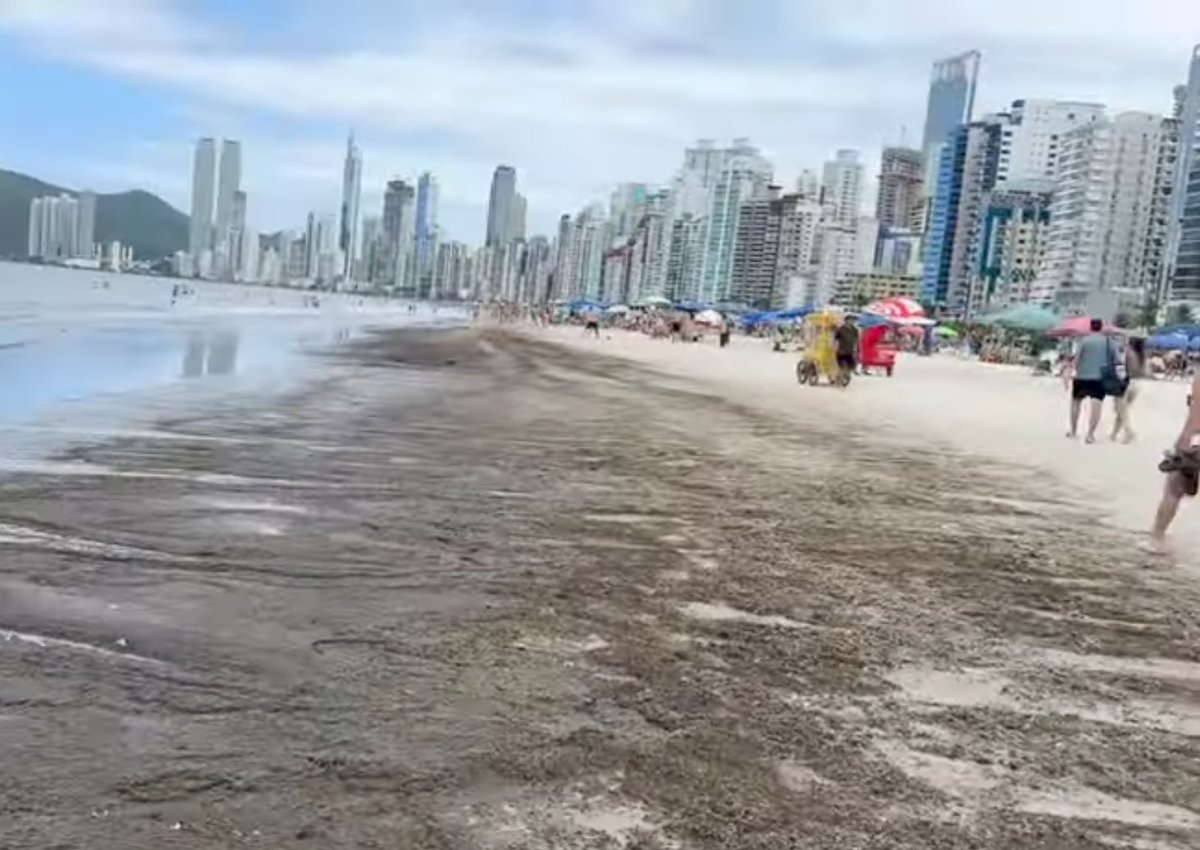 Oni_presente's tweet photo. Que tal descer prá BC? Todos serão bem vindos a Balneário Camboriú.
Ainda estou aqui. https://t.co/IeunLJM9fz