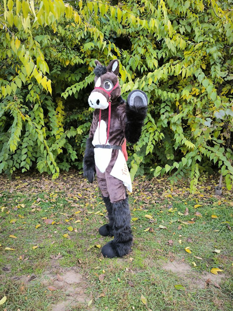 Grion_FursuitUP's tweet photo. There's a ragdoll horse plush in the garden, help!

(My last finished fursuit in 2024. I just forget to post photos...oops) https://t.co/oMDrBJafOV