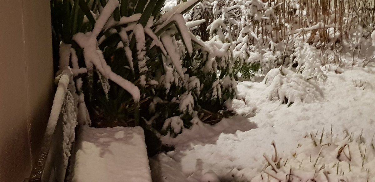 Cathy Haglington tweet media