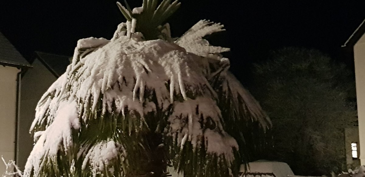 Cathy Haglington tweet media