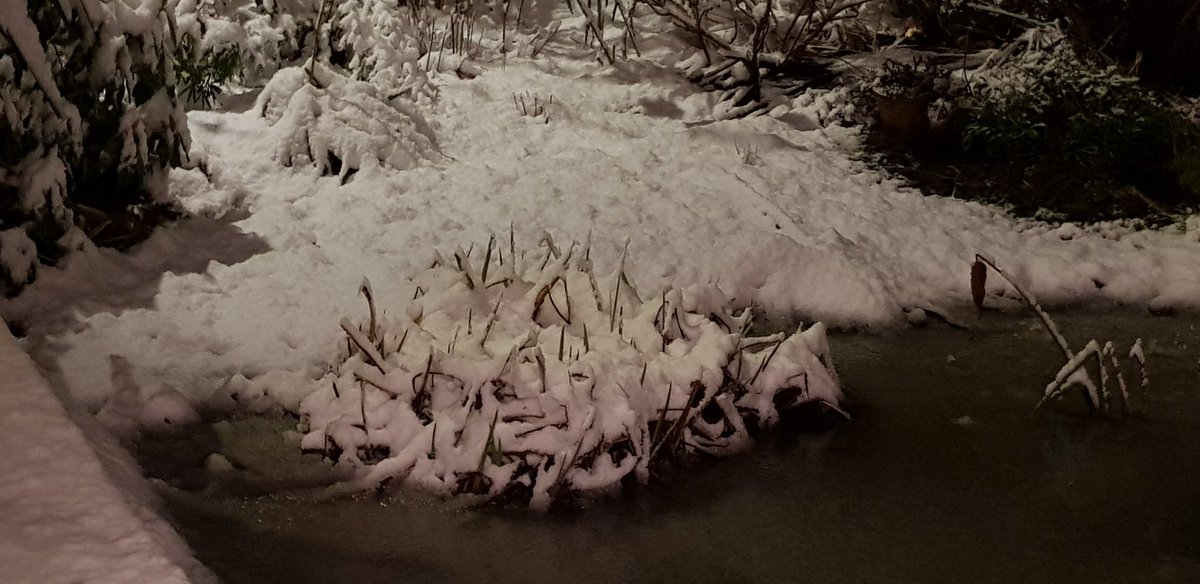 Cathy Haglington tweet media