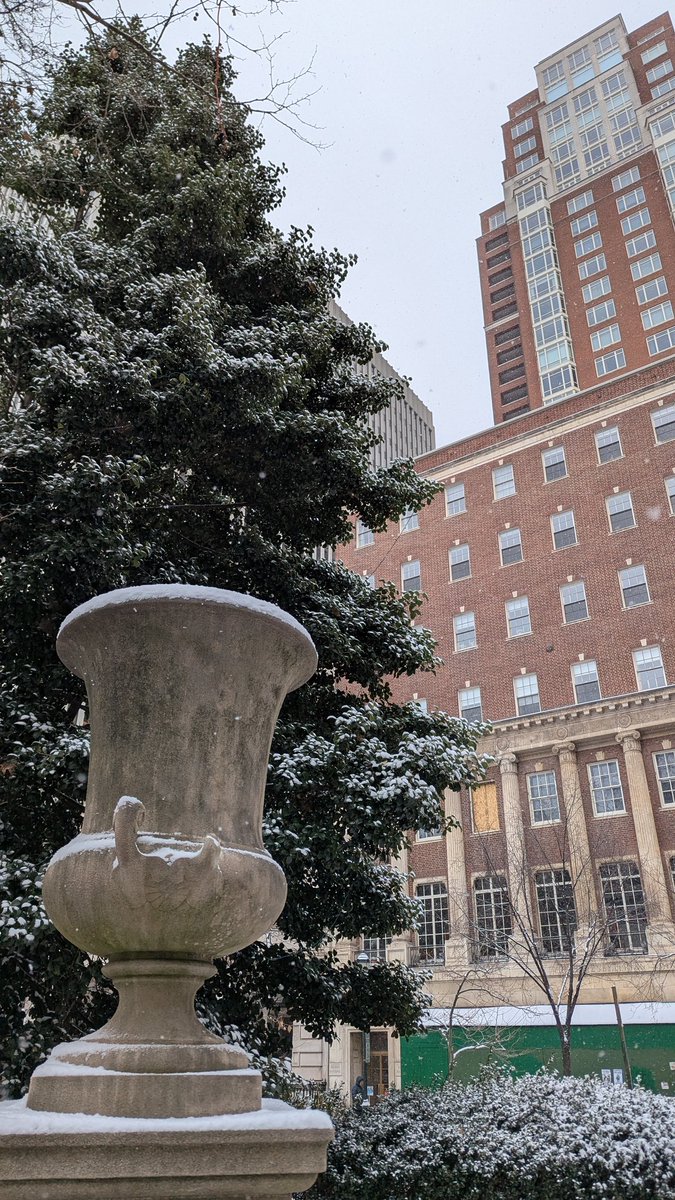 Dunkaccino tweet media