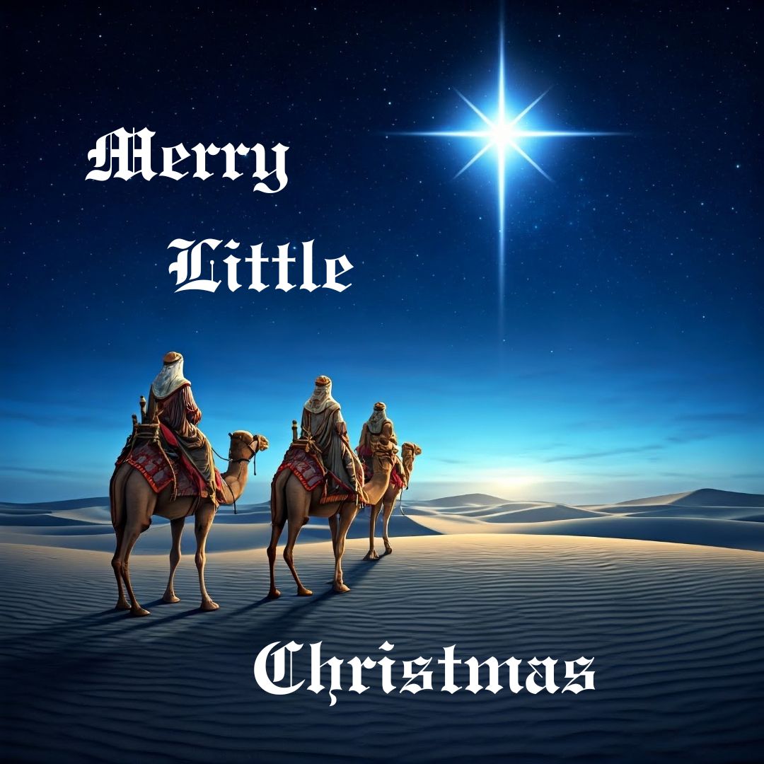 With the arrival of the Three Kings on January 6, the Christmas season officially closes for another year. May the year ahead bring you all health and happiness.   #timetravelromance #historicalromance #paranormalromance #historicalfantasy