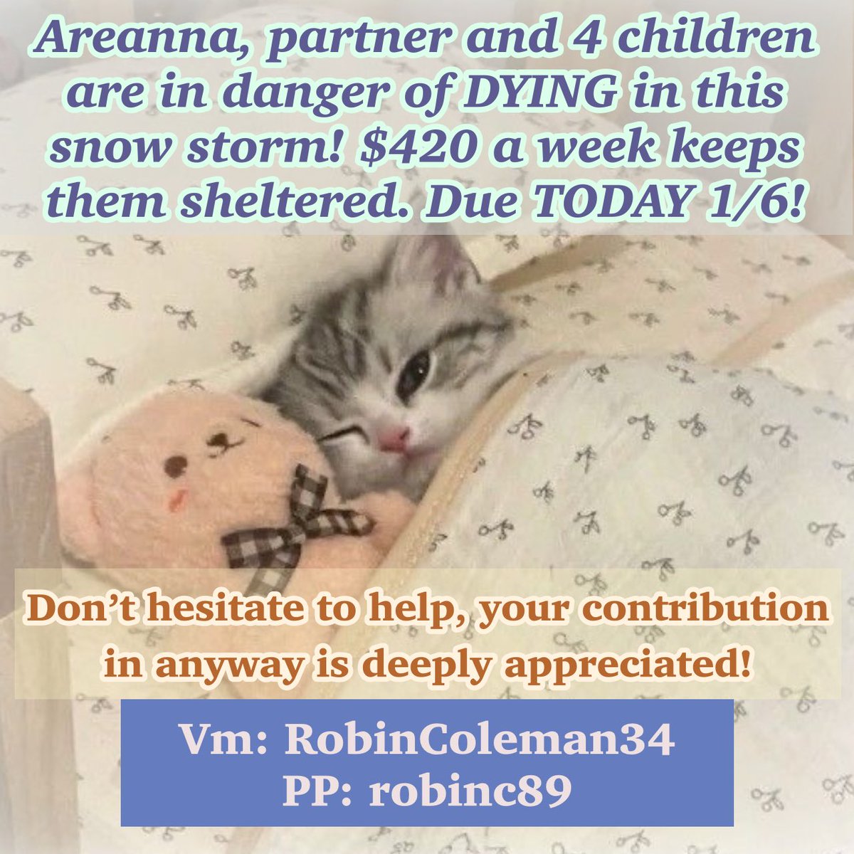 Just finished making this graphic— I’m so worried! 

Areanna has been crowdfunding for FIVE lives that depends on them. Support is scarce, funds have been stalling. 

Coldest air in the season, huge snow storms. They CAN’T be outside!! ❄️ 

6 lives on the line. Please help NOW!!