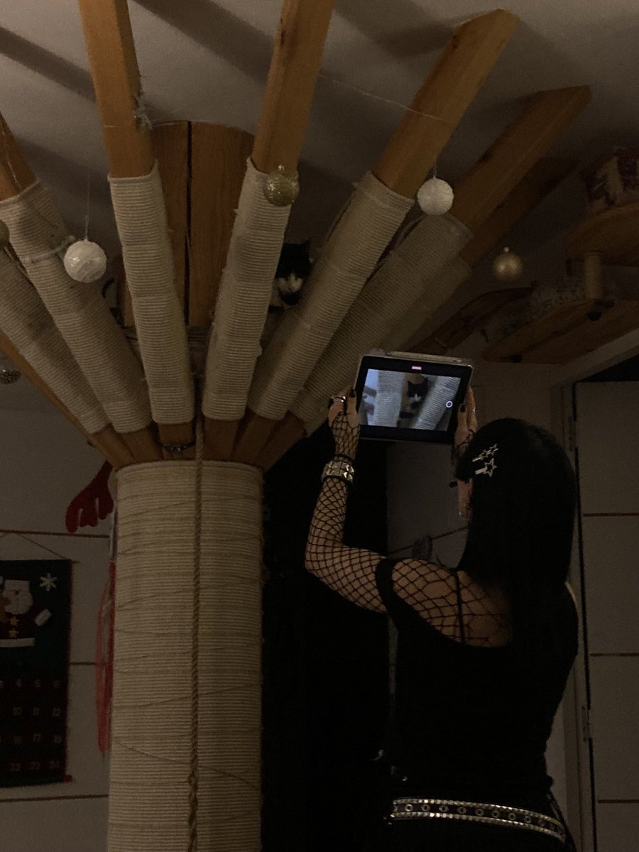 grimumu's tweet image. 