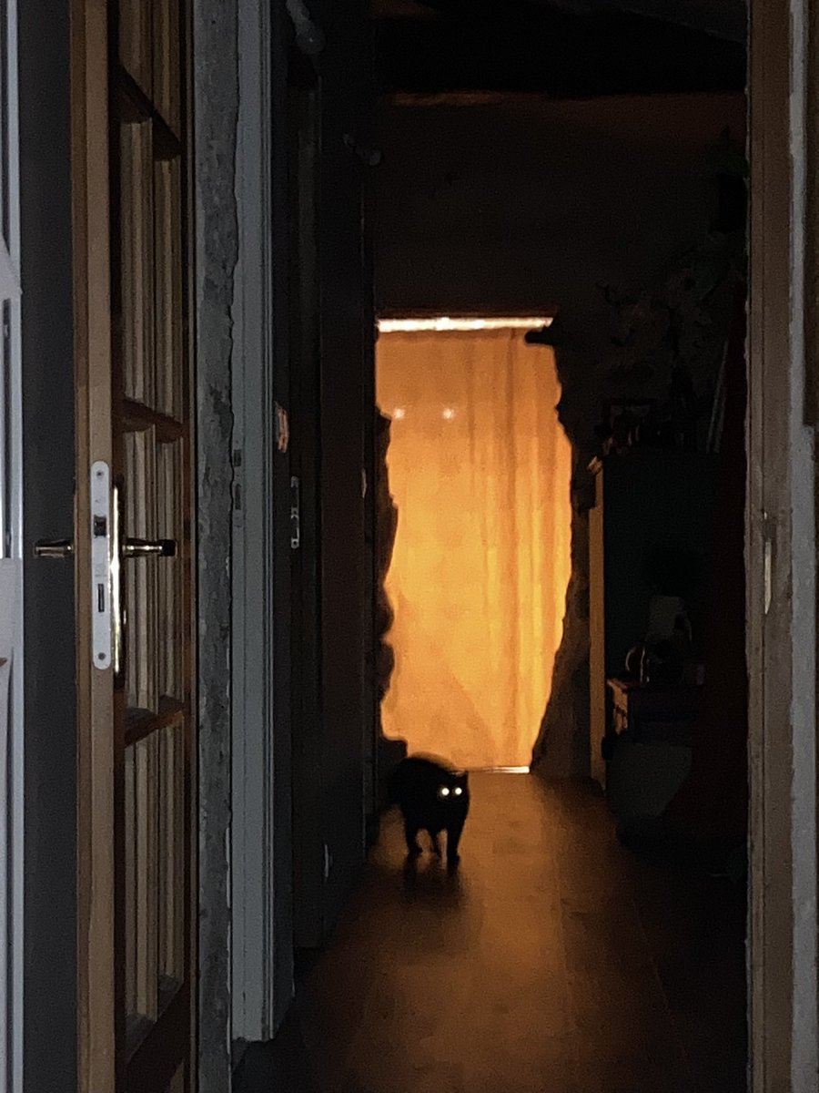 grimumu's tweet image. 