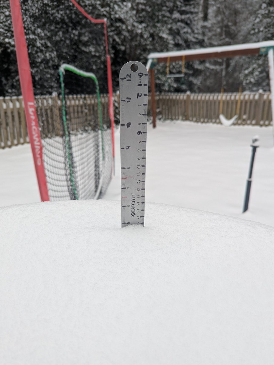 Mike Bolitho 📶 tweet media