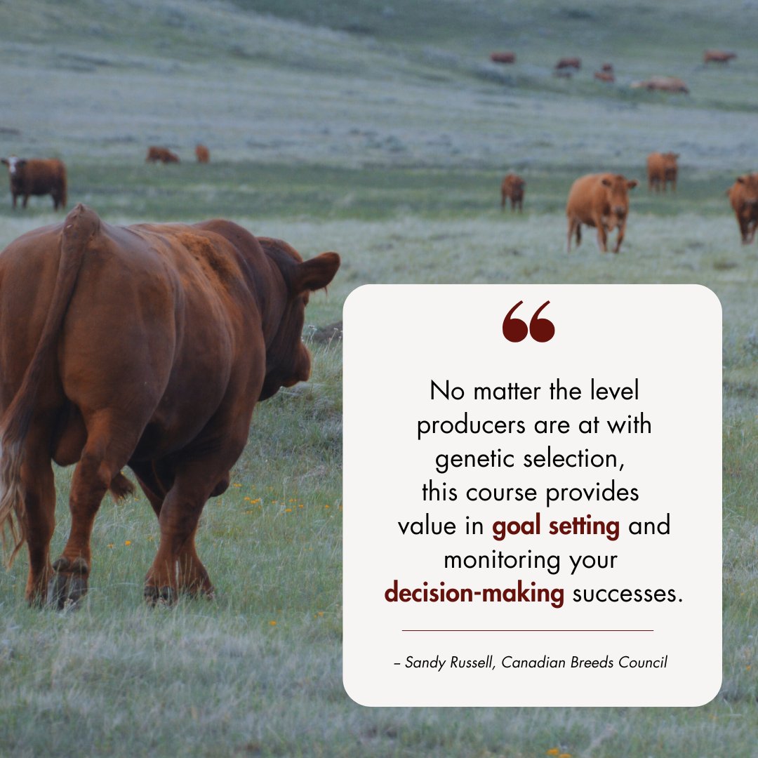 The BCRC's Genetics Record Keeping E-course provides a template that helps ensure the selection choices you make today will result in measurable progress for your herd in the future.

Register for this free e-course today. ⬇️
beefresearch.ca/blog/courses/g…